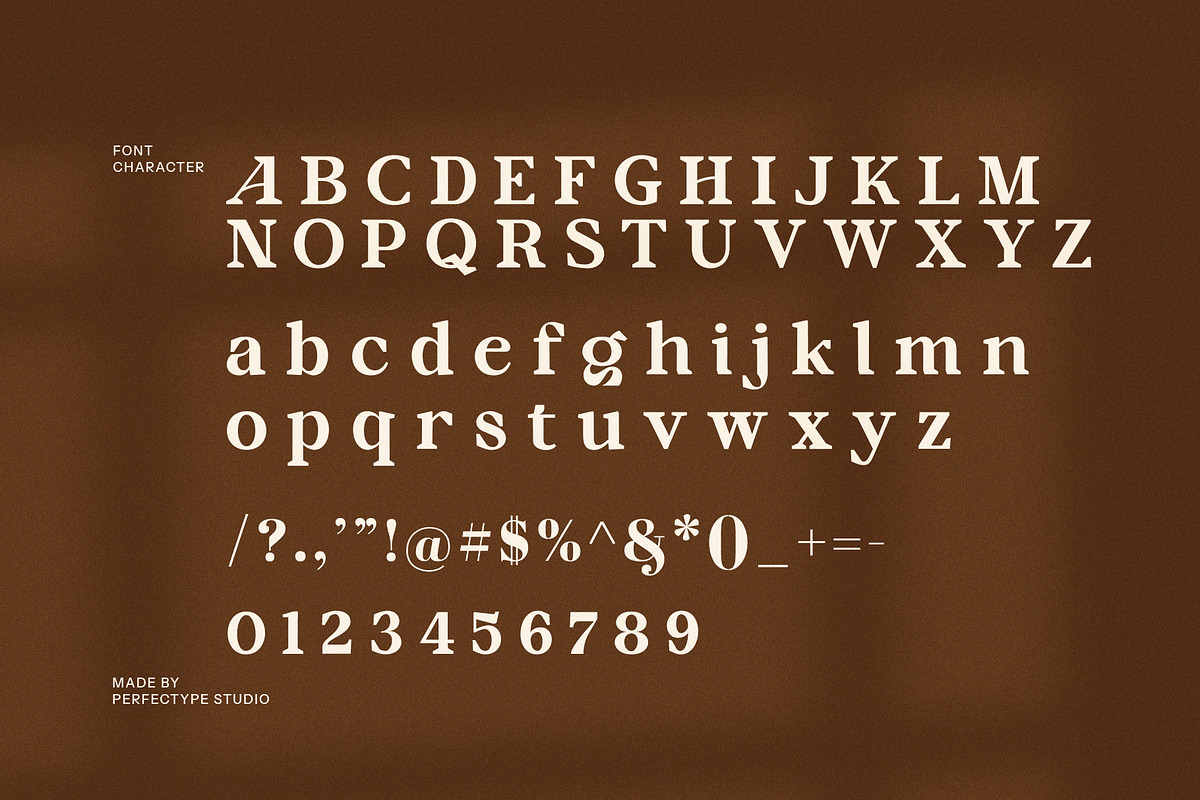 Mogaly Elegant Serif Font, a Serif Font by Perfectype (Photo 8 of 8)