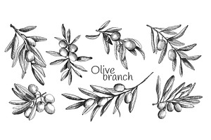 Olive branch sketch set, a Food Illustration by art PVP - market