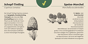 Harri Text, a Sans Serif Font by Blancoletters (Thumbnail 7 of 14)