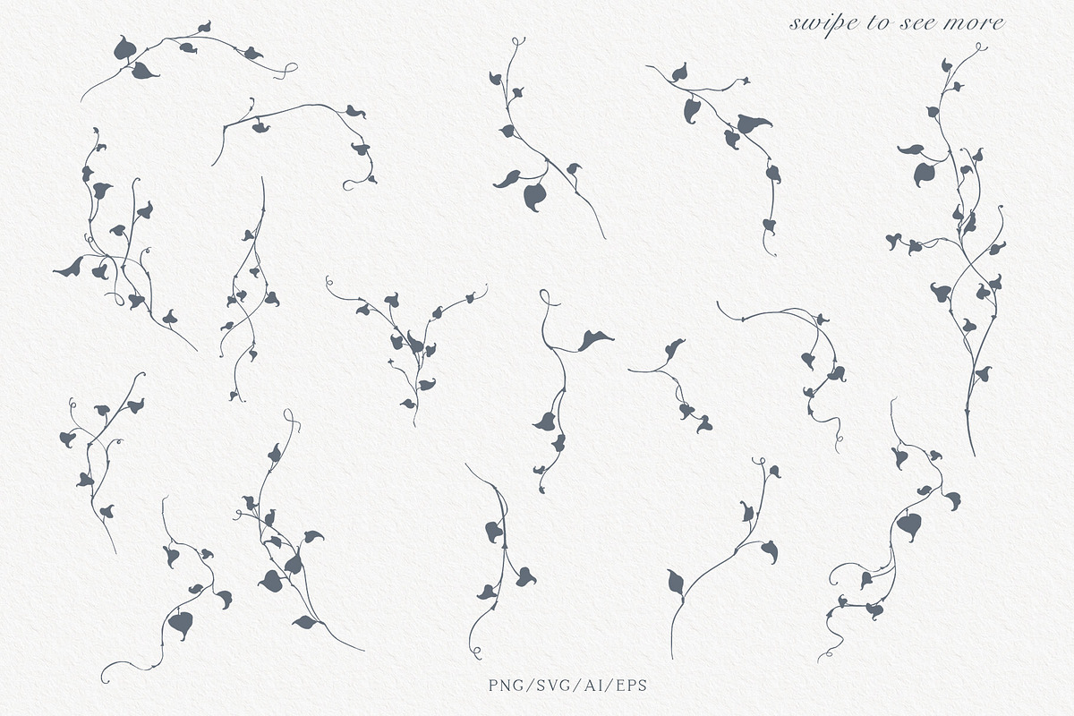 Vines Linear Clipart Kit, an Object Illustration by Sensual Art (Photo 2 of 7)
