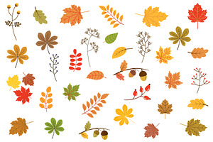 Autumn leaves clipart set