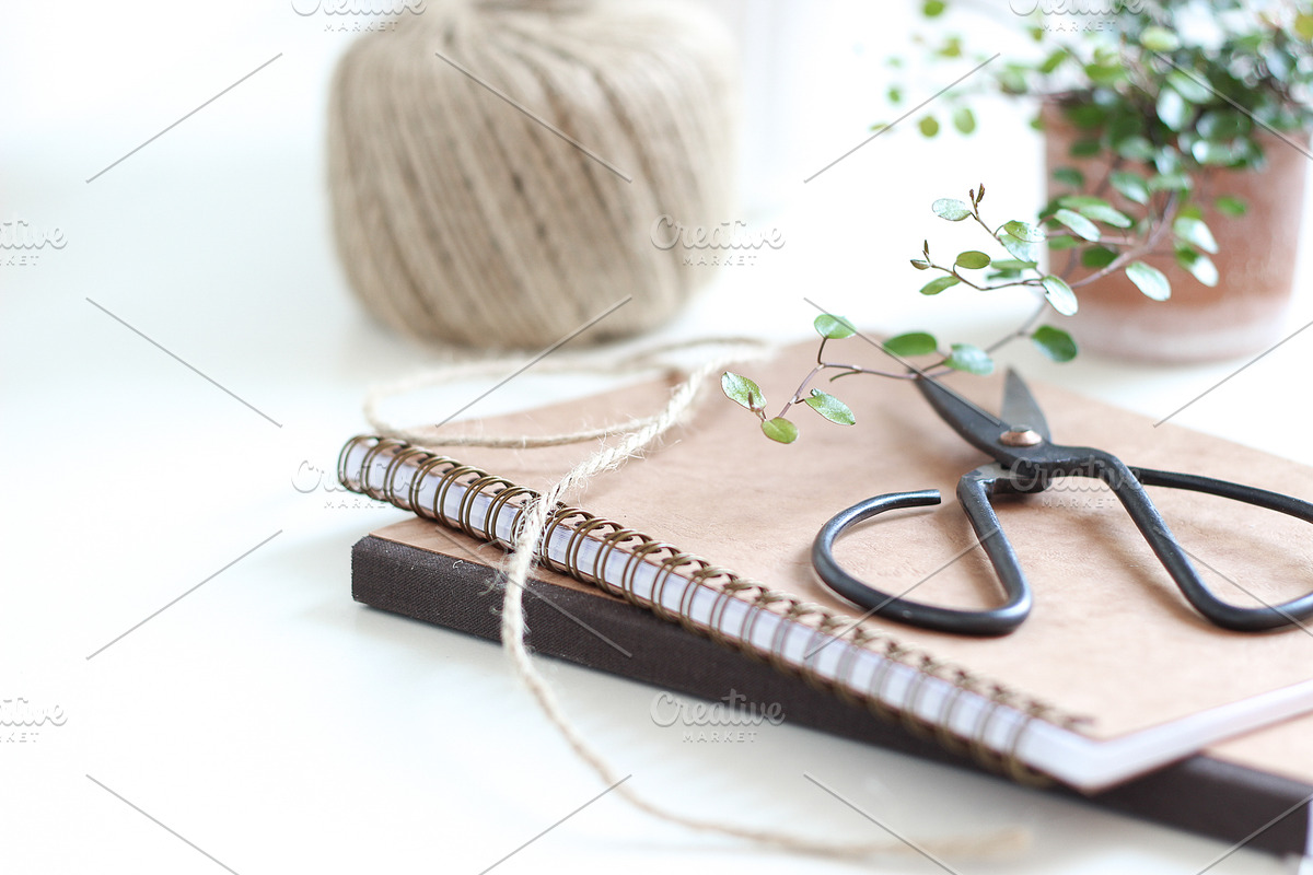 Neutral Collection | Styled Stock, a Business Photo by Chalking Up Stock (Photo 11 of 25)