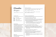 Professional Resume Template Word, a Resume Template by VictoriousVita (Thumbnail 1 of 8)