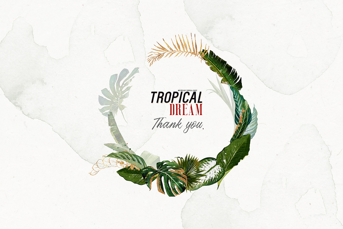 Watercolor Tropical Leaves, a Decorative Illustration by Damian Roh (Photo 19 of 19)