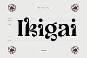 Selukar - Display Variable Font, a Serif Font by Artflorara (Thumbnail 9 of 16)