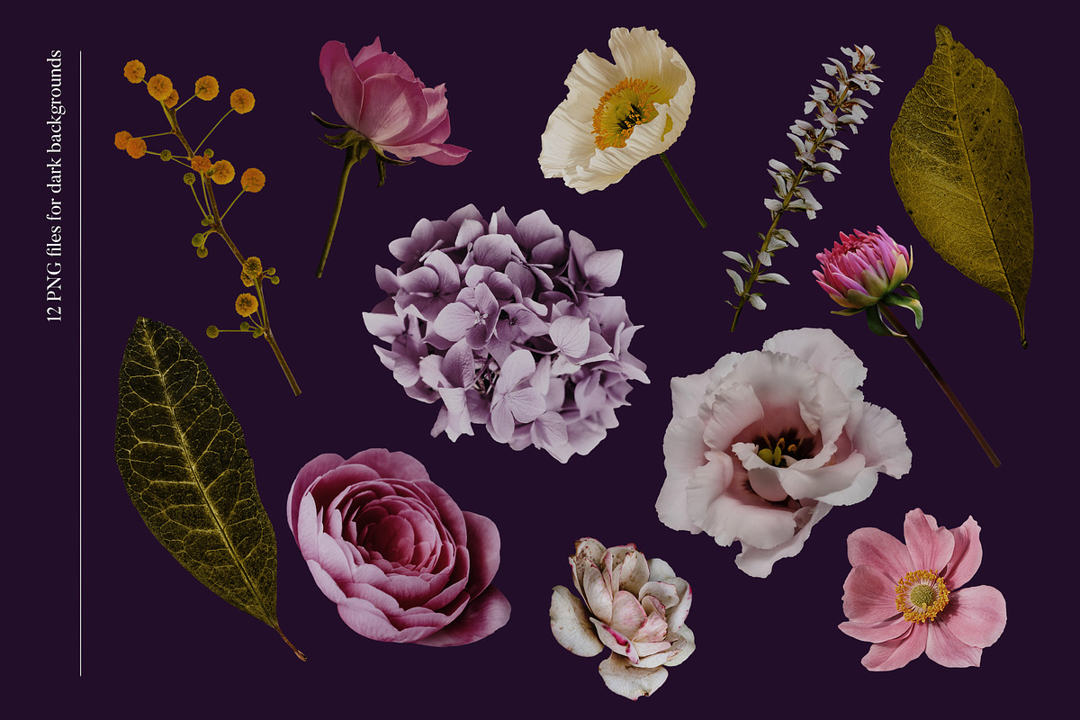 Isolated real flowers clipart set, an Object Graphic by The Graphic Parade (Photo 5 of 14)