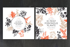 10 Most Poisonous Plants. Vector Set