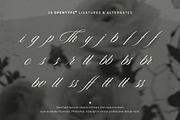 Editorial Society - Luxury Font Duo, a Script Font by Davide Bassu (Thumbnail 28 of 34)