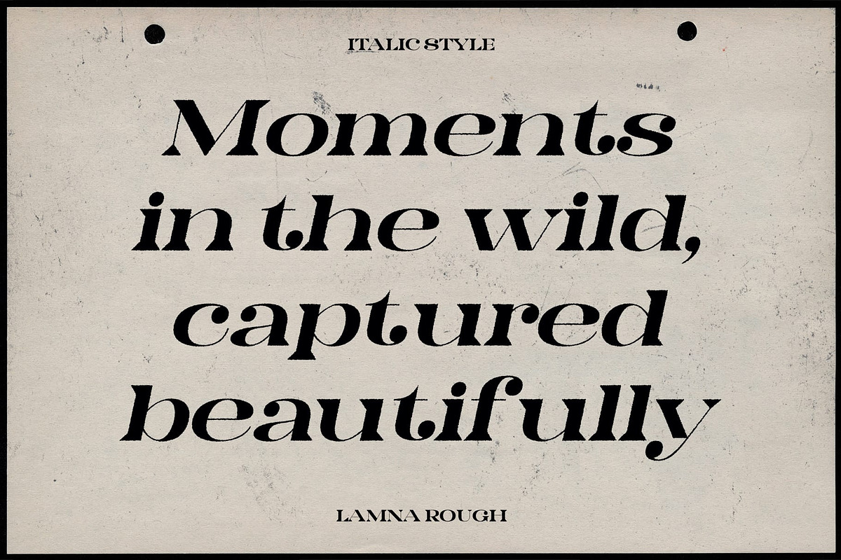 Lamna Rough, a Serif Font by Craft Supply Co. (Photo 2 of 8)