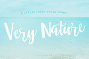 Very Nature Font, a Script Font by siscxiu (Thumbnail 1 of 5)