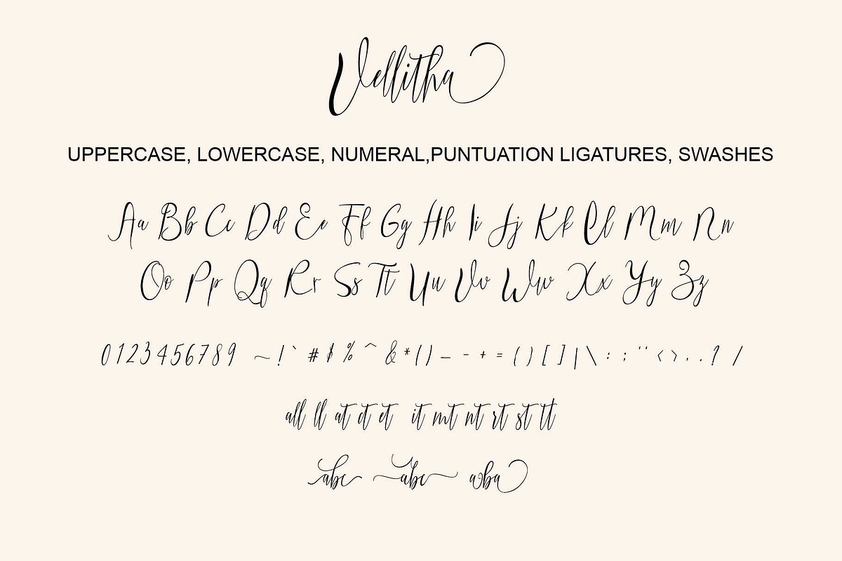 Vellitha, a Script Font by Nowlystudios (Photo 7 of 7)