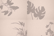 Botanical Shadow Overlays Bundle, a Graphic by denofdreamers (Thumbnail 4 of 4)