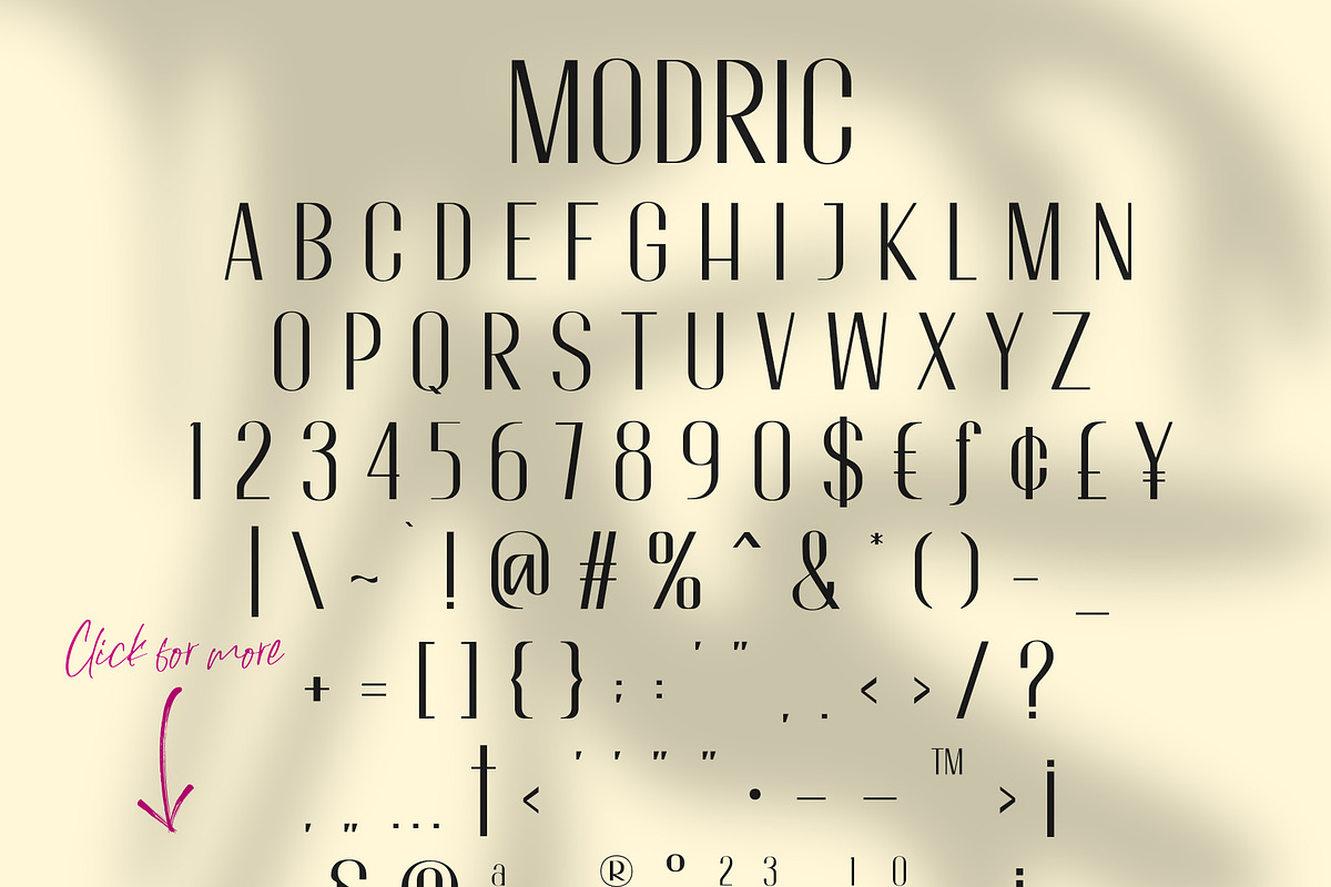 Odishary & Modric Font Duo, a Sans Serif Font by Motokiwo (Photo 13 of 14)