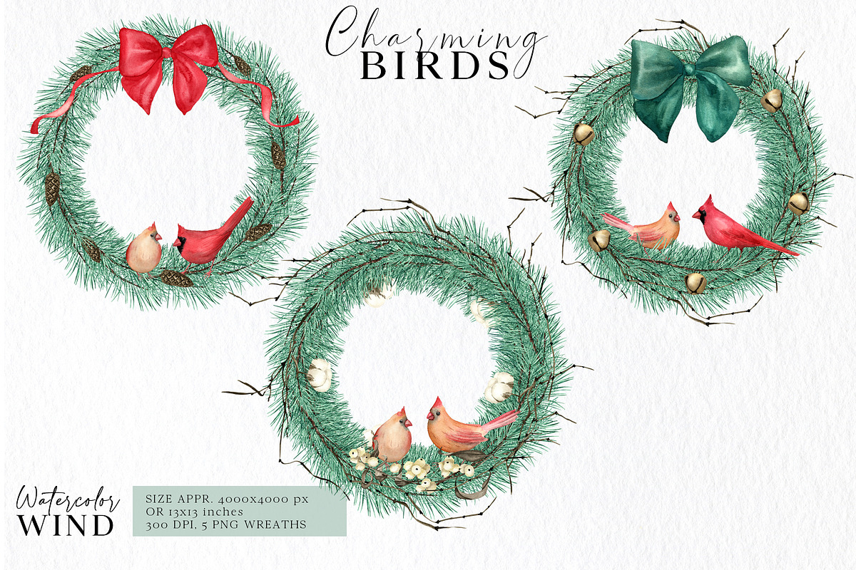 Christmas Teal Clipart Cardinal Bird, an Illustration by Ksenia Shmakova (Photo 8 of 16)
