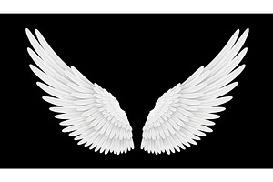 Realistic white 3d angel wings, an Animal Illustration by Buch&Bee