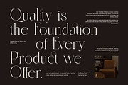 Sandis Elegant Serif Font, a Serif Font by Perfectype (Thumbnail 5 of 8)