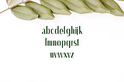 Severn Sans Serif Font Family, a Sans Serif Font by Creativetacos (Thumbnail 3 of 5)