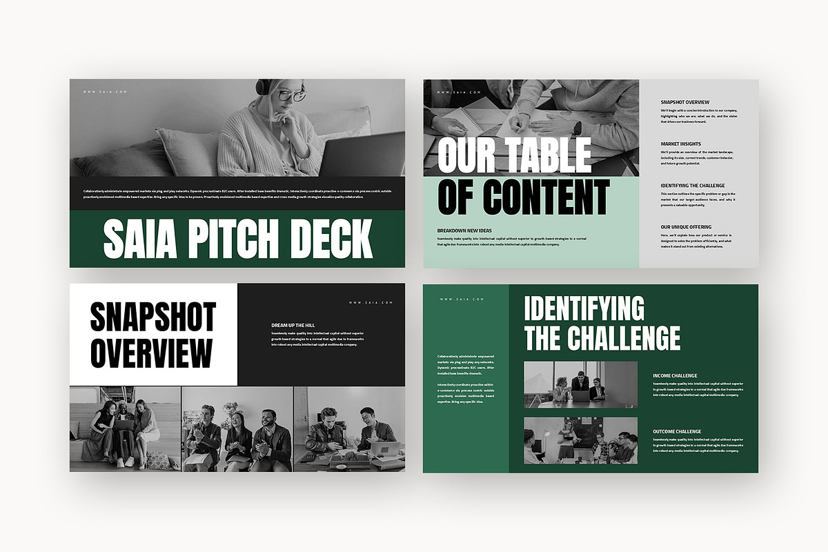 Saia : Project Pitch Google Slides, a Presentation Template by Punkl Camp (Photo 2 of 16)