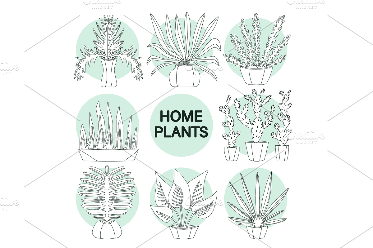 20+ icons of home plants in pots, a Solid Icon by ОльгаМороз (Photo 14 of 14)