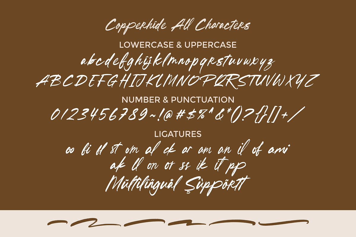 Copperhide - Brush Font, a Handwritten Font by ErgibiStudio (Photo 10 of 10)
