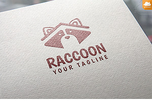 Raccoon