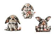 Happy Easter Bunny Clipart, an Illustration by Dream Creation (Thumbnail 7 of 7)