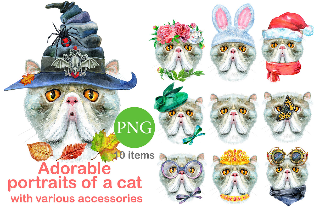 Portraits of Exotic Shorthair cat, an Animal Illustration by Watercolor fantasy (Photo 1 of 6)