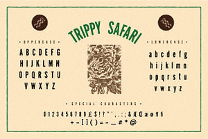 Trippy Safari Font & Illustrations