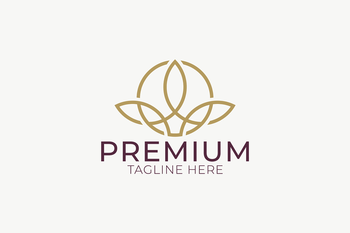 Premium Golden Emblem Logo, a Branding & Logo Template by Signatoro (Photo 2 of 3)