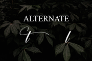 Aesthetic | Script Font, a Handwritten Font by Scratchones (Thumbnail 8 of 9)