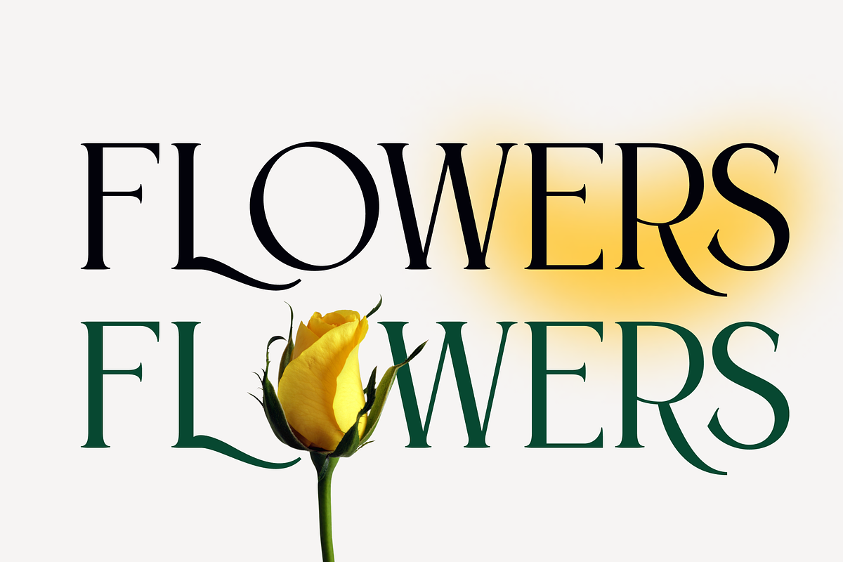 Glique Serif Display, a Font by Fitrah Type (Photo 8 of 13)