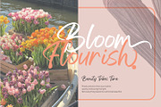 Gellatio - Chic Brush Font, a Script Font by din-studio.com (Thumbnail 8 of 16)
