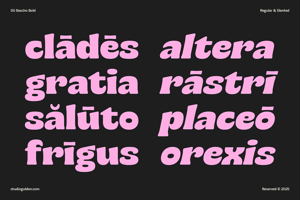 SG Bascho Bold, a Sans Serif Font by Studio Gulden (Photo 5 of 16)