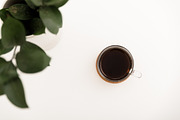 Green Working Stock Photo Bundle, a Business Photo by EKL photo (Thumbnail 5 of 8)