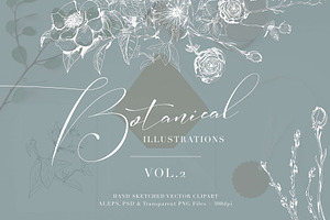 Botanical Illustrations Vol.2
