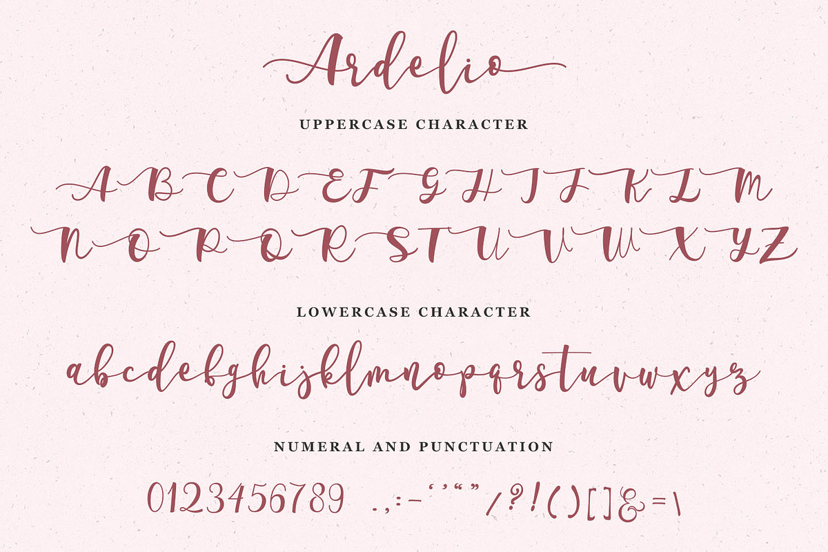 Ardelio - Elegant Script Font preview 5