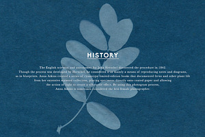 FLORAL Cyanotype Backgrounds