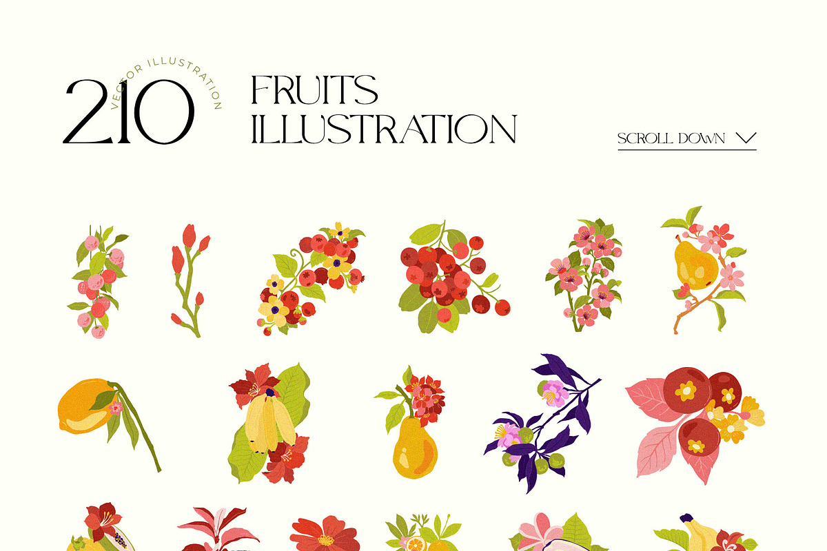 Summer Fruits | Wall Art Collection, an Object Graphic by Leleka.Store (Photo 14 of 20)