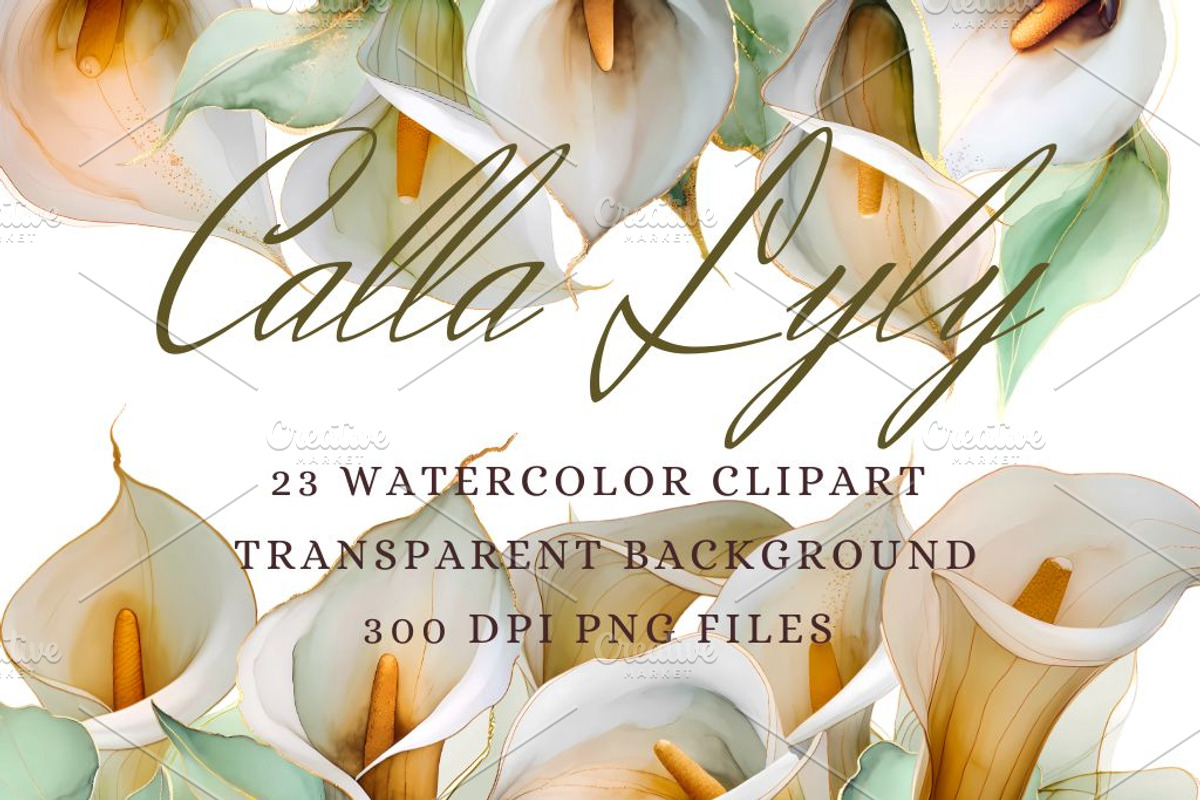 Calla Lily Watercolor Clipart Set, a Decorative Illustration by Floraphoria (Photo 1 of 10)