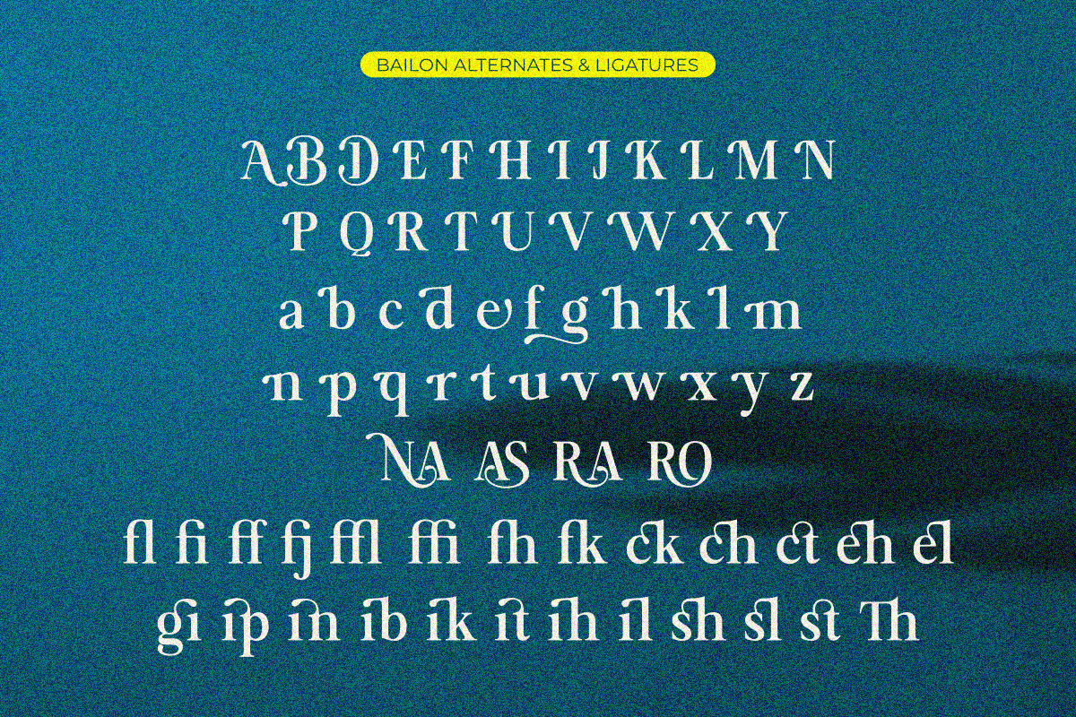 Bailon, a Serif Font by Zafiratype (Photo 15 of 15)