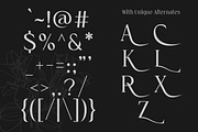 Cardival – Modern Luxury Bold Serif, a Serif Font by Lettertype Studio (Thumbnail 10 of 11)