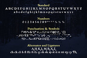 The Modern Serif Font Bundle, a Serif Font by Design 265 (Thumbnail 15 of 33)