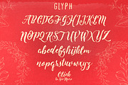 Levitte Script, a Script Font by Flavortype (Thumbnail 5 of 5)