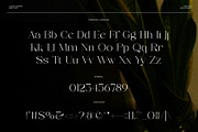 Rolive - Luxury Modern Serif, a Serif Font by Muflieart (Thumbnail 9 of 10)