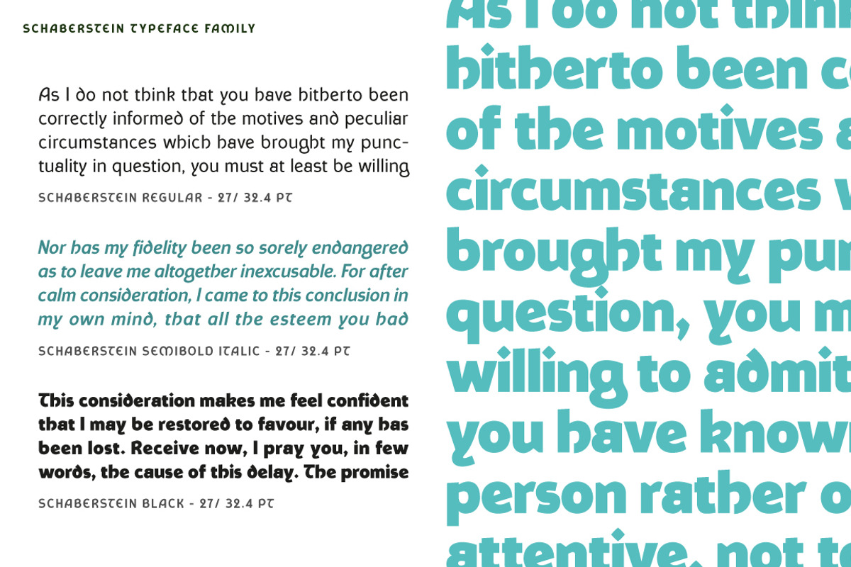 Schaberstein, a Sans Serif Font by Typogama (Photo 7 of 13)