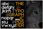 Romulus Wolf-Sans serif font family, a Sans Serif Font by Artistic & Unique (Thumbnail 5 of 15)
