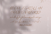 Sunday Sunshine - Handwritten Script, a Script Font by AndrewPixel (Thumbnail 9 of 9)