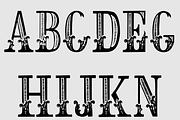 Leyenda, a Serif Font by Intellecta Design (Thumbnail 3 of 5)