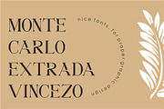 Medifa Font | Beautifull Serif Font, a Serif Font by WhymoreArt (Thumbnail 2 of 10)