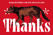 Tieldsa Bold Serif Display Font, a Serif Font by timelesstype.co (Thumbnail 20 of 20)